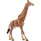 Schleich giraff, hane