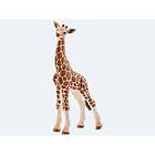 Schleich giraffunge