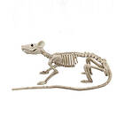 Skelett råtta