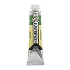 Water col 20ml Sap green