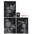 Engraving / skrapkonst insekter regnbåge – 3 st. A4-motiv (210x297 mm) med regnbågsskimrande bakgrund