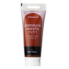 Panduro Acrylic akrylfärg, matt 100ml – Burnt sieena