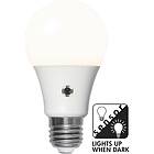 Star Trading 357-06-3 E27 A60 Sensor opaque