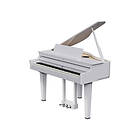 Roland GP-6-PW