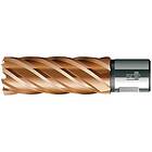 BDS Kärnborr HSS Vario Plus 12x55mm, KBL