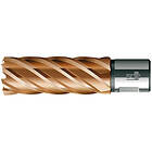 BDS Kärnborr HSS Vario Plus 20x55mm, KBL