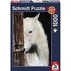 Schmidt 1000 bitar Equine beauty