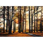 Schmidt 1000 bitar Magical forest