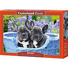 Castorland 1000 bitar French Bulldog Puppies