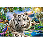 Castorland 1500 bitar Twilight