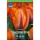 JWA Lefeber Tulpan, Tidig enkel, Prinzesse Irene
