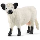 Schleich Galloway Ko 13960