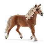 Schleich Haflinger Hingst 13813