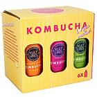 6 Pack Kultures Kombucha (6x400ml, 4 smaker)