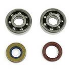 Athena Minarelli Polymer Cage Skf Crank Shaft Bearing&seal Kit Silver