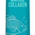 Vital Proteins Marine Collagen Box 10 st x 10g