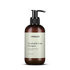 Hårologi Dandruff & Scalp Shampoo 250ml