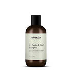 Hårologi Dry Scalp & Curls Shampoo 230ml