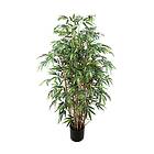 Bambu 120 cm
