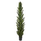 Cypress Träd 120 cm
