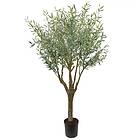 Oliv Träd 240 cm Grön