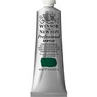Winsor & Newton Akrylfärg W&N Professional 60ml