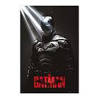 Poster Batman I am the shadows