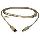 Max Value USB A - USB B 2.0 2m