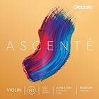 D'Addario Ascenté A310 1/2M