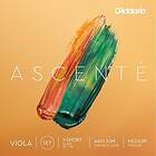 D'Addario Ascenté A410 XSM