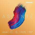 D'Addario Ascenté A310 1/8M