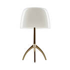 Foscarini Lumiere Piccola Dimmer