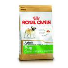 Royal Canin BHN Pug 3kg