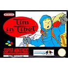 Tintin in Tibet (SNES)