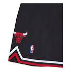 Mitchell & Ness Bulls Authenticentic Shorts