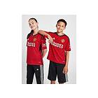 Adidas Manchester United Fc 23/24 Junior Short Sleeve T-shirt Home