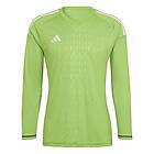 Adidas T23 C Gk L Long Sleeve T-shirt Grönt 2XL / Regular Man