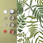 Graham & Brown Midsummer Fern Lush 107880