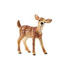 Schleich Wild Life Vitsvanshjort Action-figur