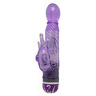 Baile vibrators multispeed vibrator with clit stimulator purple