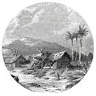 vidaXL WallArt Tapet cirkelformad Landscape of Guadeloupe 142,5 cm 440370