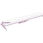 vidaXL Hylleplan 100x10x2 cm obehandlad massiv ek 363554