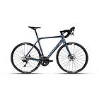 Gavia Treviso