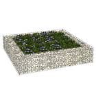 vidaXL Planteringsgabion upphöjd galvaniserat stål 100x100x20 cm 151311