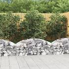 vidaXL Gabion bågformad 150x50x40/60 cm galvaniserat järn 153452