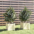vidaXL Odlingslådor 2 st vit 31x31x31 cm massiv furu 810525