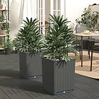 vidaXL Odlingslådor 2 st svart 30x30x37 cm polypropylen 364182