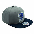 Harry Potter Ravenclaw House Snapback Keps Grå Blå