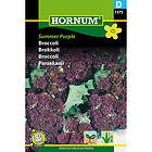 Hornum Broccoli, Summer Purple