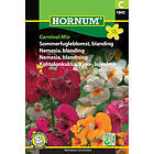 Hornum Nemesia, Carnival Mix